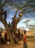 Gyerekek fára másznak egy kenyai menekülttáborban