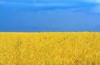 Ukrajna –<br />egy nemzetállam születése vagy halála? 